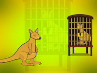 Baby Red Kangaroo Escape