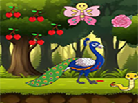 Play Care Of The Hurt Peacock - Free Online Escape Game