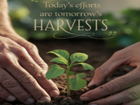 Play Easy Room Escape 306 - Free Online Escape Game