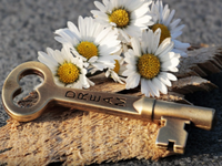 Play Easy Room Escape 348  - Free Online Escape Game