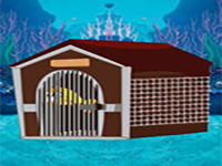 Save The Grandpa Fish