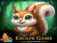 Play Save Squirrel Escape - Free Online Escape Game