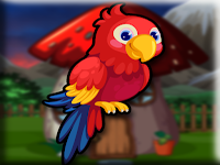 Scarlet Macaw Rescue From Cage