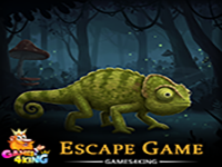 Play Search For Chameleon - Free Online Escape Game