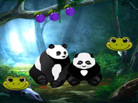 Searching Missed Panda Siblings