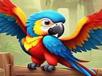 Beautiful Macaw Rescue