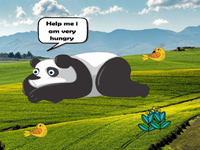 Feed The Starving Panda