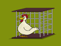 Play Leghorn Chicken Escape - Free Online Escape Game