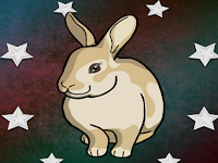 Release The Rabbit From Cage