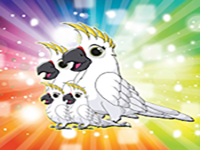 Release Cockatoo Family From Cage