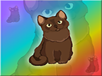 Release Burmese Cat