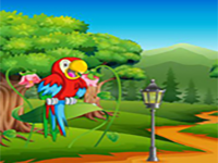 Help The Lonely Macaw