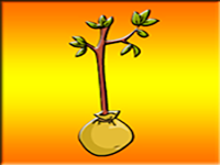 Play Help This Boy Plant A Tree - Free Online Escape Game