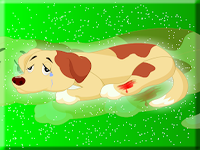 Help To The Injured Pet Dog