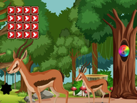 Rescue The Fawn