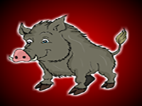 Rescue The Wild Boar In Cage