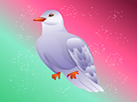 Rescue The Ringneck Dove