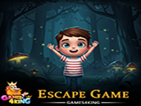Play Rescue My Hidden Boy - Free Online Escape Game