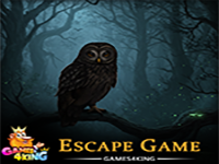 Play Shadowy Owl Escape - Free Online Escape Game