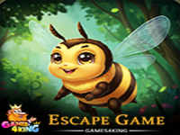 Play The Great Drone Escape - Free Online Escape Game