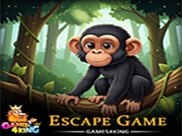 Play Shy Chimpanzee Rescue - Free Online Escape Game