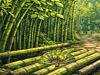 Play Hidden Bamboo Forest Escape - Free Online Escape Game