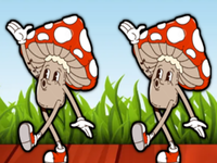 Find Magic Mushroom Guy