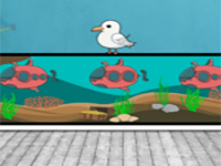 Find Naughty Seagull