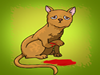 Play Find The Medical Adhesive Strip - Free Online Escape Game