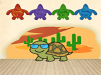 Find The Old Tortoise