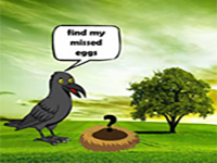 Find The Crow Eggs