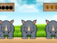 Find Gigi The Rhino