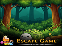 Play Find the Bug - Free Online Escape Game