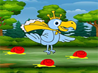 King Meet The Queen Bird