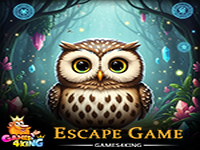 Play Tiny Owl Princess Escape - Free Online Escape Game