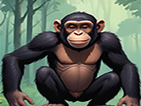 Mischievous Chimp Escape