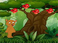 Missing Bears Get Together