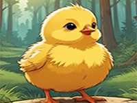 Little Chick Escape