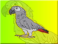 Play Clever Grey Parrot Escape From Cage - Free Online Escape Game