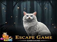 Play Fluffy White Cat Rescue - Free Online Escape Game