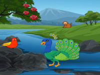 Conserve The Peacock Companion
