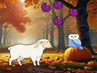 Mother Sheep Seeking Child
