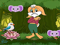 Play Squirrel Find Nuts Treasure - Free Online Escape Game