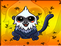 Trachypithecus Popa Rescue