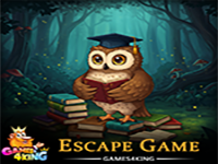 Play Professor Owl Rescue - Free Online Escape Game