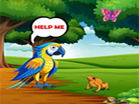 Provide Food To Macaw