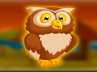 Brown Owl Rescue From Cage