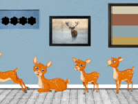 Escape Deer Museum