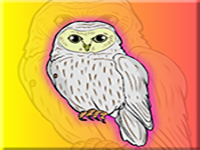 Play Strix Uralensis Rescue - Free Online Escape Game