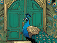 Stunning Peacock Escape